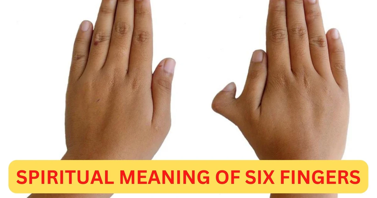 What Insights Does The Spiritual Meaning Of Six Fingers Offer