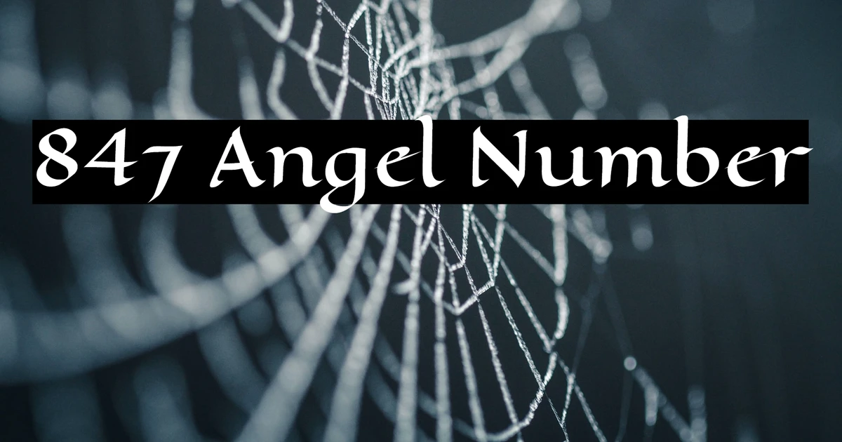 847 angel number