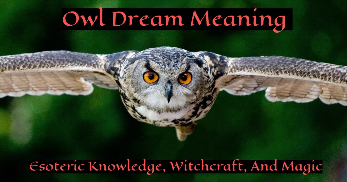 What Does Owl Dream Meaning Symbolize In Your Subconscious?