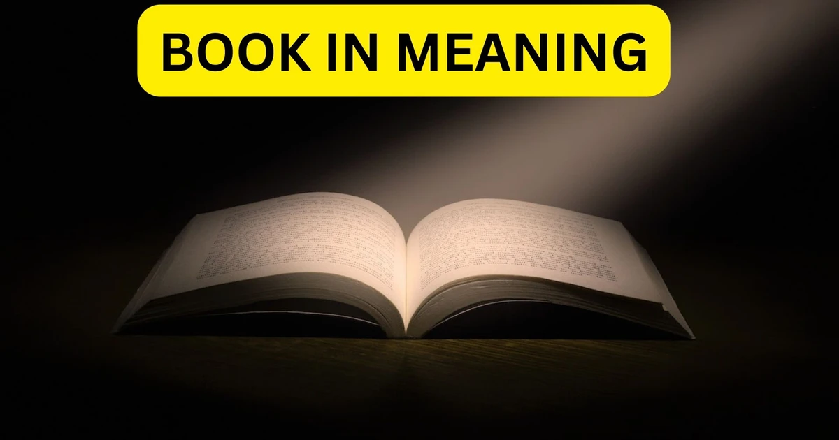 book you in meaning