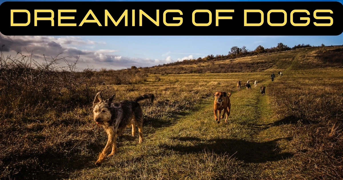 What Does Dreaming Of Dogs Symbolism Signify?