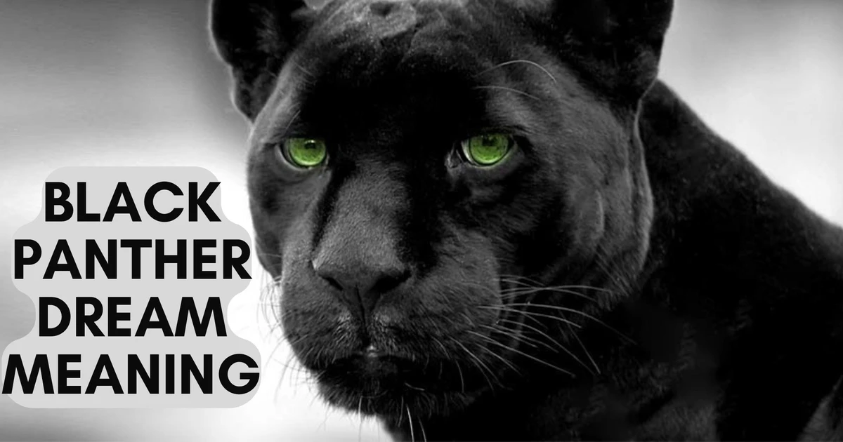 What Does The Black Panther Dream Meaning Signify?