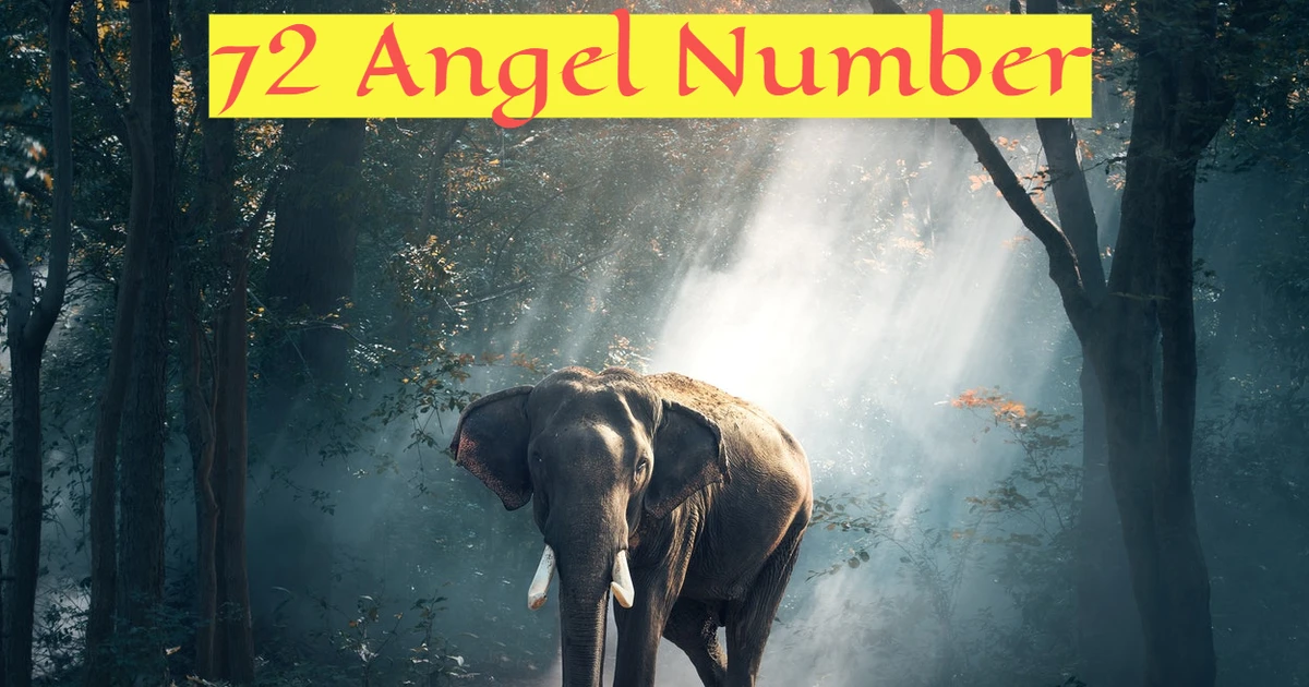 Does The 72 Angel Number Carry Specific Guidance For Individuals?