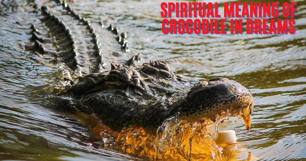 What Is The Spiritual Meaning Of Crocodile In Dreams And How To