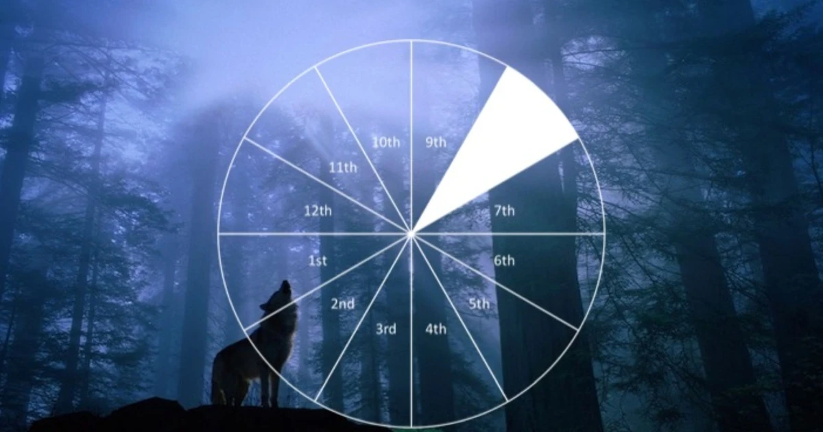 How Does 8th House Chiron Influence Your Astrological Chart?