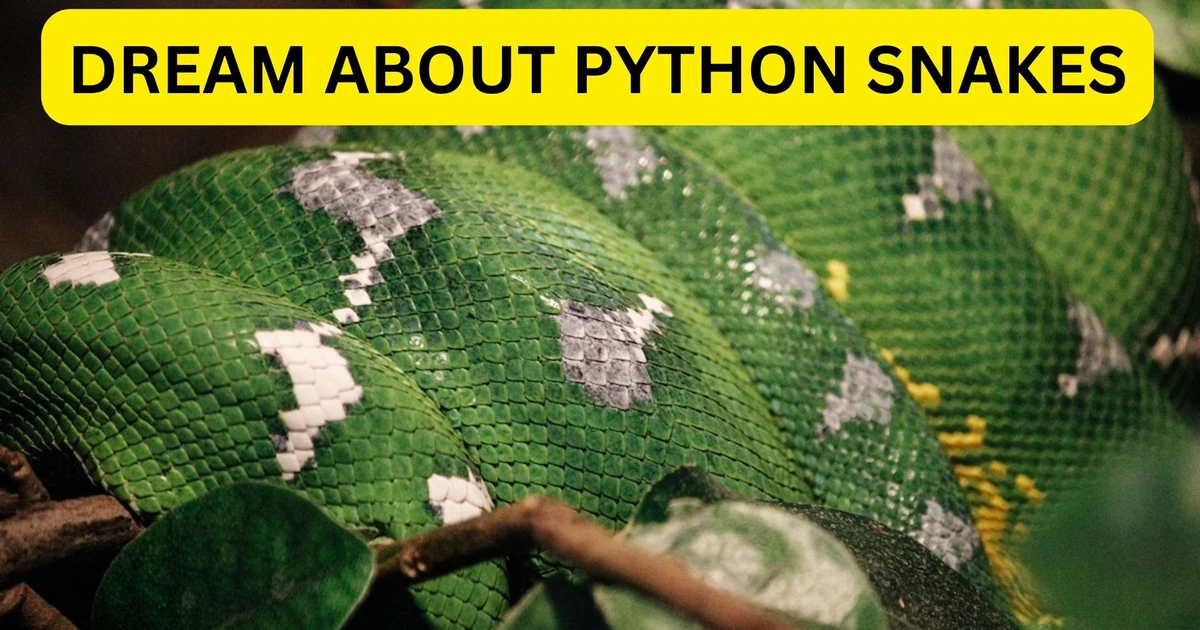 What Does Dream About Python Snakes Signify?