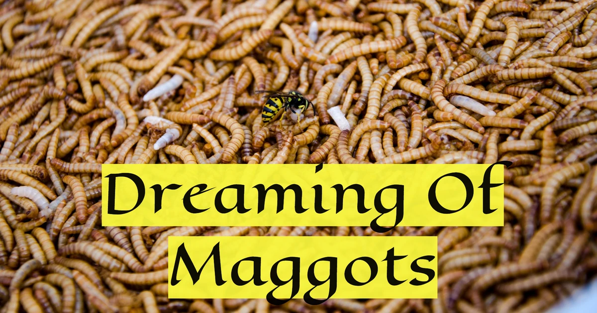 Is There A Significance To Dreaming Of Maggots In Your Dreams?