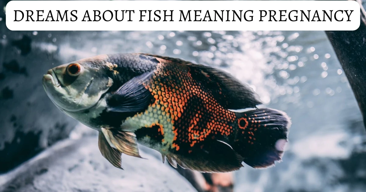 Are Dreams About Fish Meaning Pregnancy A Sign Of Fertility?