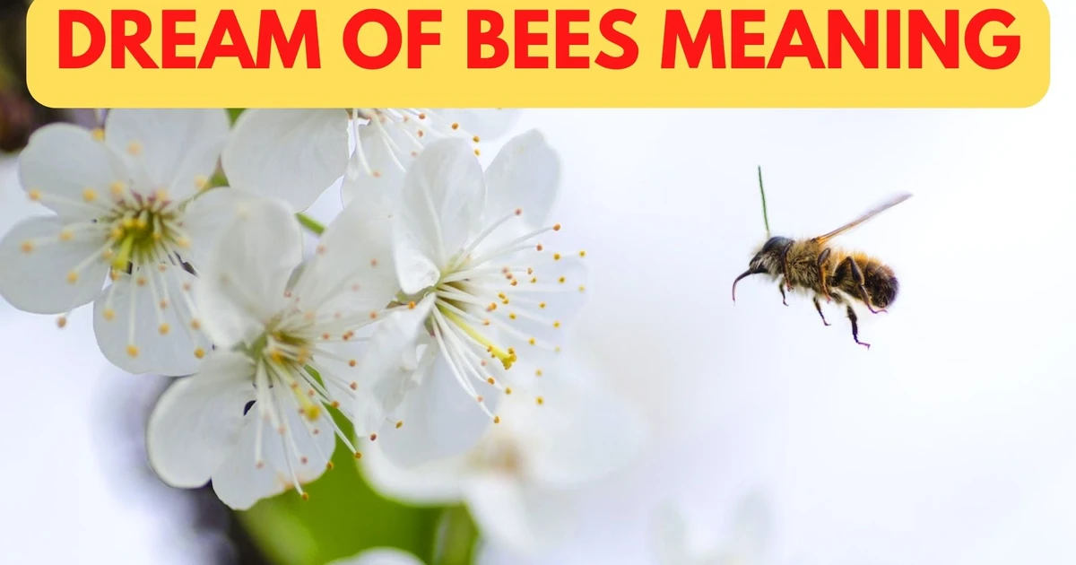 What Is The Spiritual Significance Behind The Dream Of Bees Meaning?