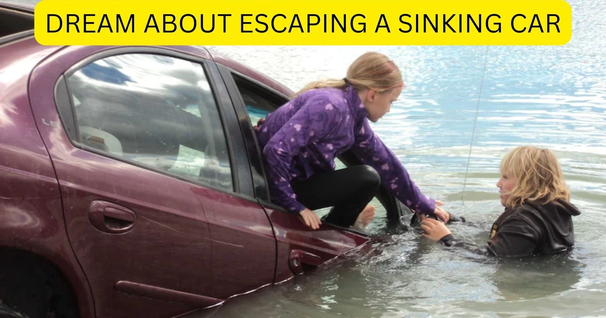 Have You Ever Experienced A Dream About Escaping A Sinking Car?