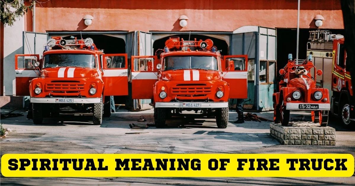 What Insights Can We Gather From Exploring The Spiritual Meaning Of