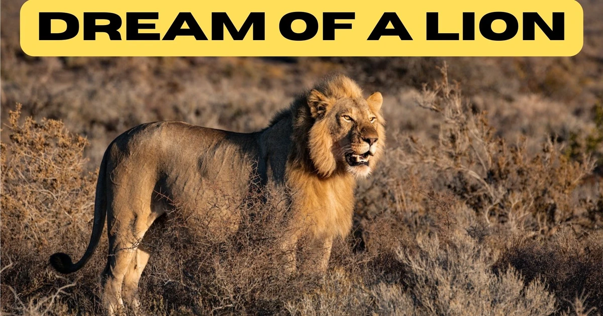 What Does It Mean To Dream Of A Lion? Unraveling The Symbolism